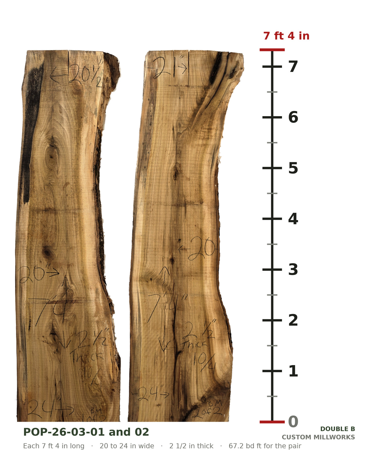 Tulip poplar book-matched live edge slab set POP-26-03-01 and 02 next to a length ruler, each slab 7 ft 4 in long, 20 to 24 in wide, 2 1/2 in thick, 67.2 board feet for the pair