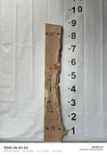 Red oak live edge slab RDO-26-01-01, 8 ft 10 in long, 15 in wide, 2 1/2 in thick, 27.6 board feet