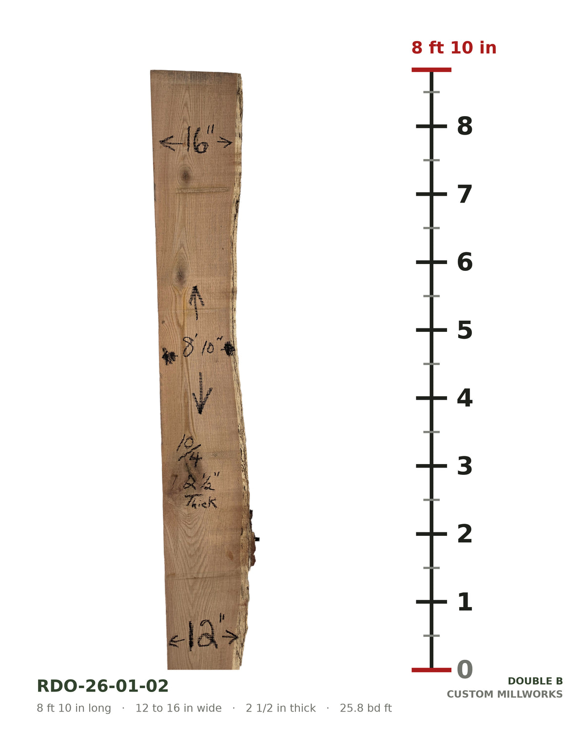 Red oak live edge slab RDO-26-01-02 next to a length ruler, 8 ft 10 in long, 12 to 16 in wide, 2 1/2 in thick, 25.8 board feet