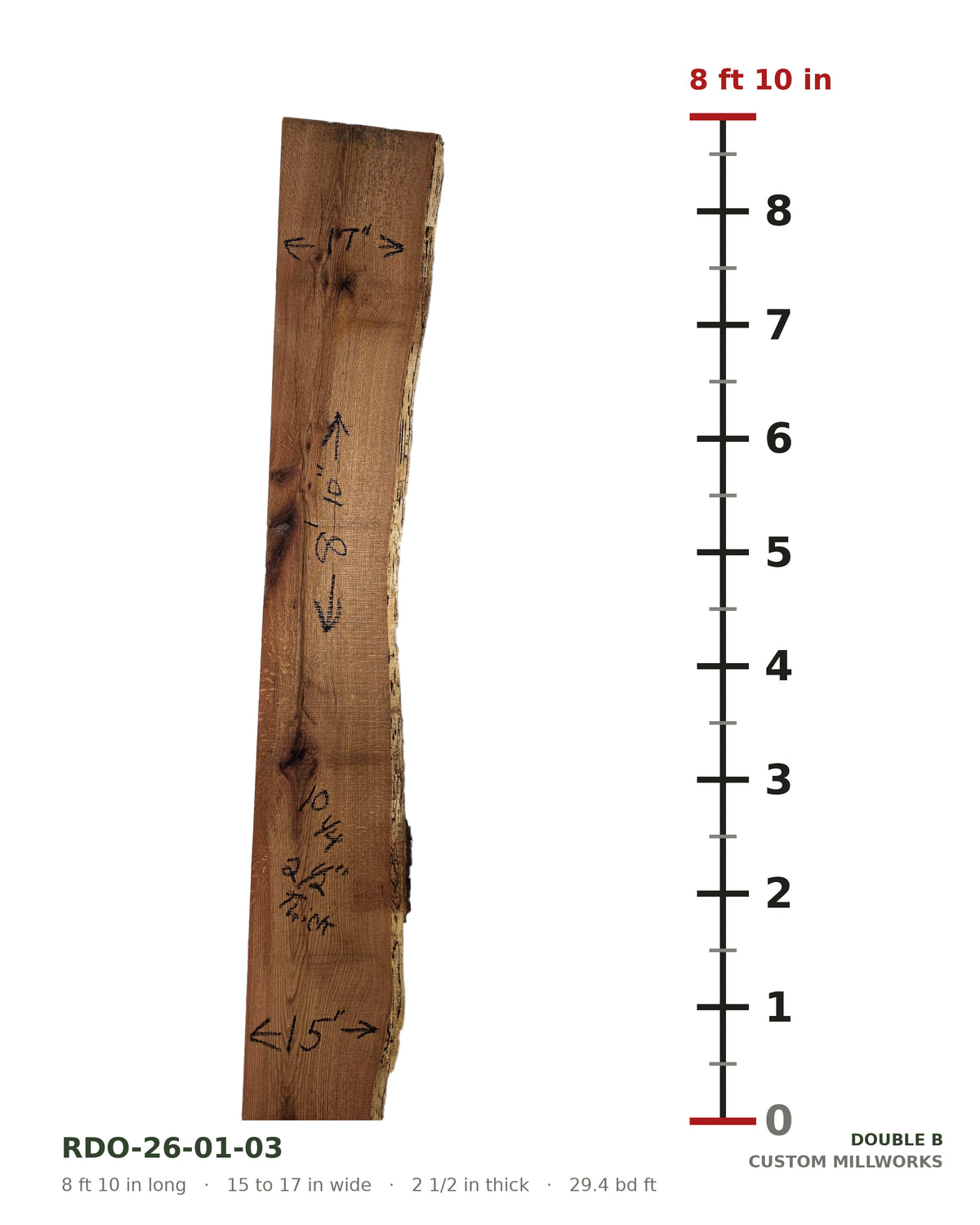 Red oak live edge slab RDO-26-01-03 next to a length ruler, 8 ft 10 in long, 15 to 17 in wide, 2 1/2 in thick, 29.4 board feet