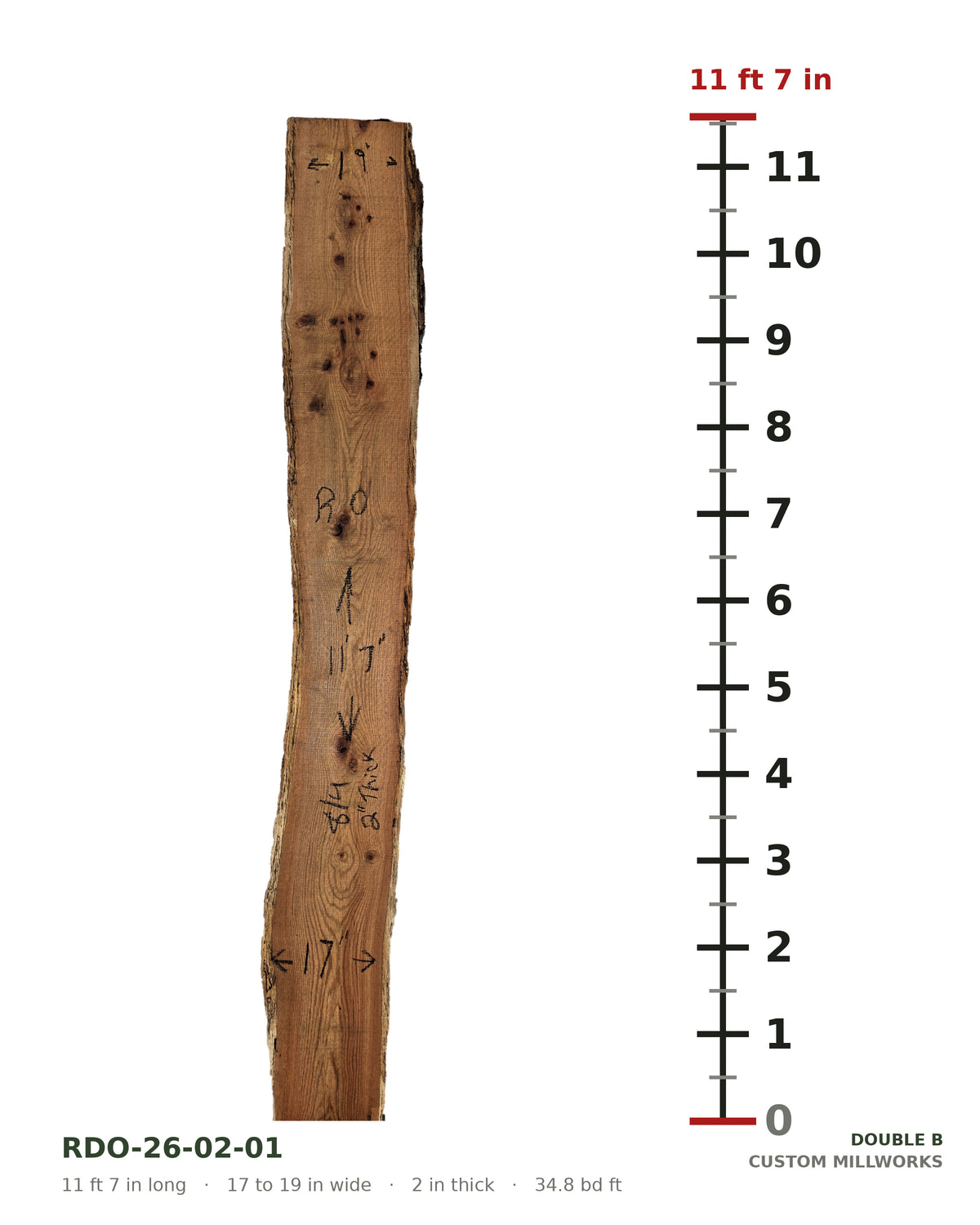 Red oak live edge slab RDO-26-02-01 next to a length ruler, 11 ft 7 in long, 17 to 19 in wide, 2 in thick, 34.8 board feet