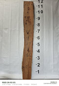 Red oak live edge slab RDO-26-02-01, 11 ft 7 in long, 17 to 19 in wide, 2 in thick, 34.8 board feet