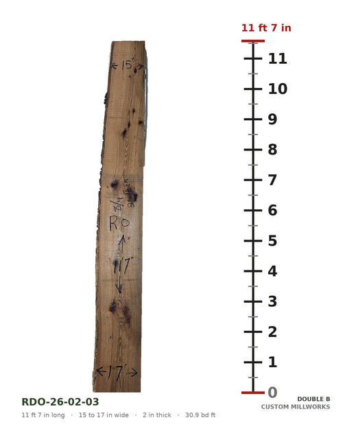 Red oak live edge slab RDO-26-02-03 next to a length ruler, 11 ft 7 in long, 15 to 17 in wide, 2 in thick, 30.9 board feet