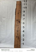 Red oak live edge slab RDO-26-02-03, 11 ft 7 in long, 15 to 17 in wide, 2 in thick, 30.9 board feet