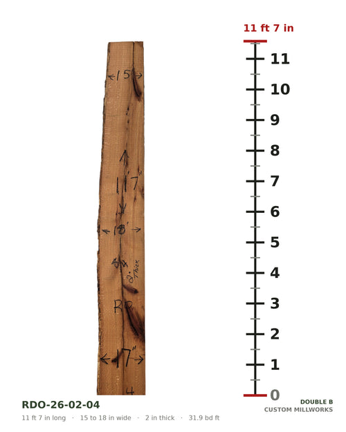 Red oak live edge slab RDO-26-02-04 next to a length ruler, 11 ft 7 in long, 15 to 18 in wide, 2 in thick, 31.9 board feet