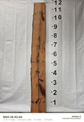 Red oak live edge slab RDO-26-02-04, 11 ft 7 in long, 15 to 18 in wide, 2 in thick, 31.9 board feet