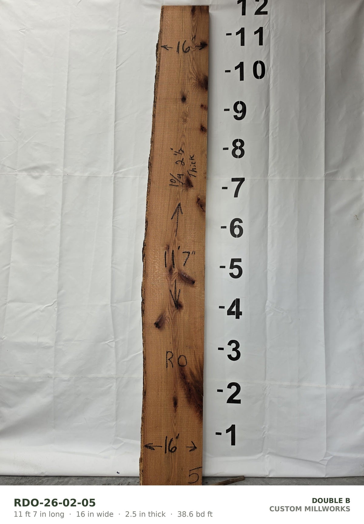 Red oak live edge slab RDO-26-02-05, 11 ft 7 in long, 16 in wide, 2 1/2 in thick, 38.6 board feet