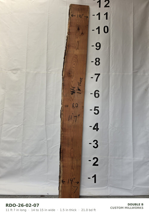 Red oak live edge slab RDO-26-02-07, 11 ft 7 in long, 14 to 15 in wide, 1 1/2 in thick, 21.0 board feet