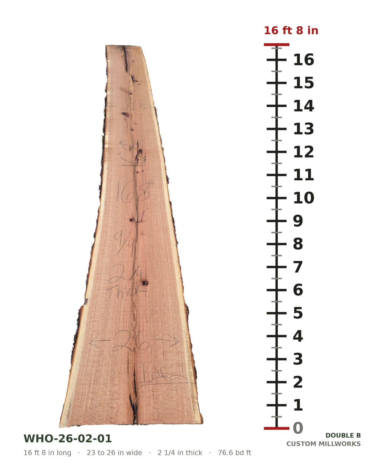 White oak book-matched live edge slab WHO-26-02-01 next to a length ruler, slab 1 of 2, 16 ft 8 in long, 23 to 26 in wide, 2 1/4 in thick, 76.6 board feet