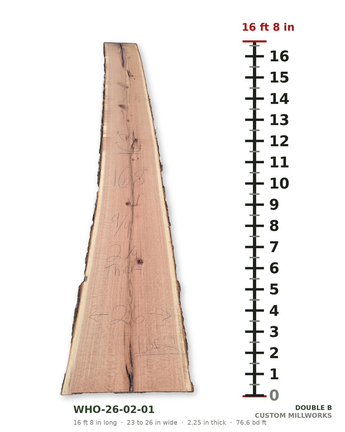White oak book-matched live edge slab WHO-26-02-01, slab 1 of 2, 16 ft 8 in long, 23 to 26 in wide, 2 1/4 in thick, 76.6 board feet