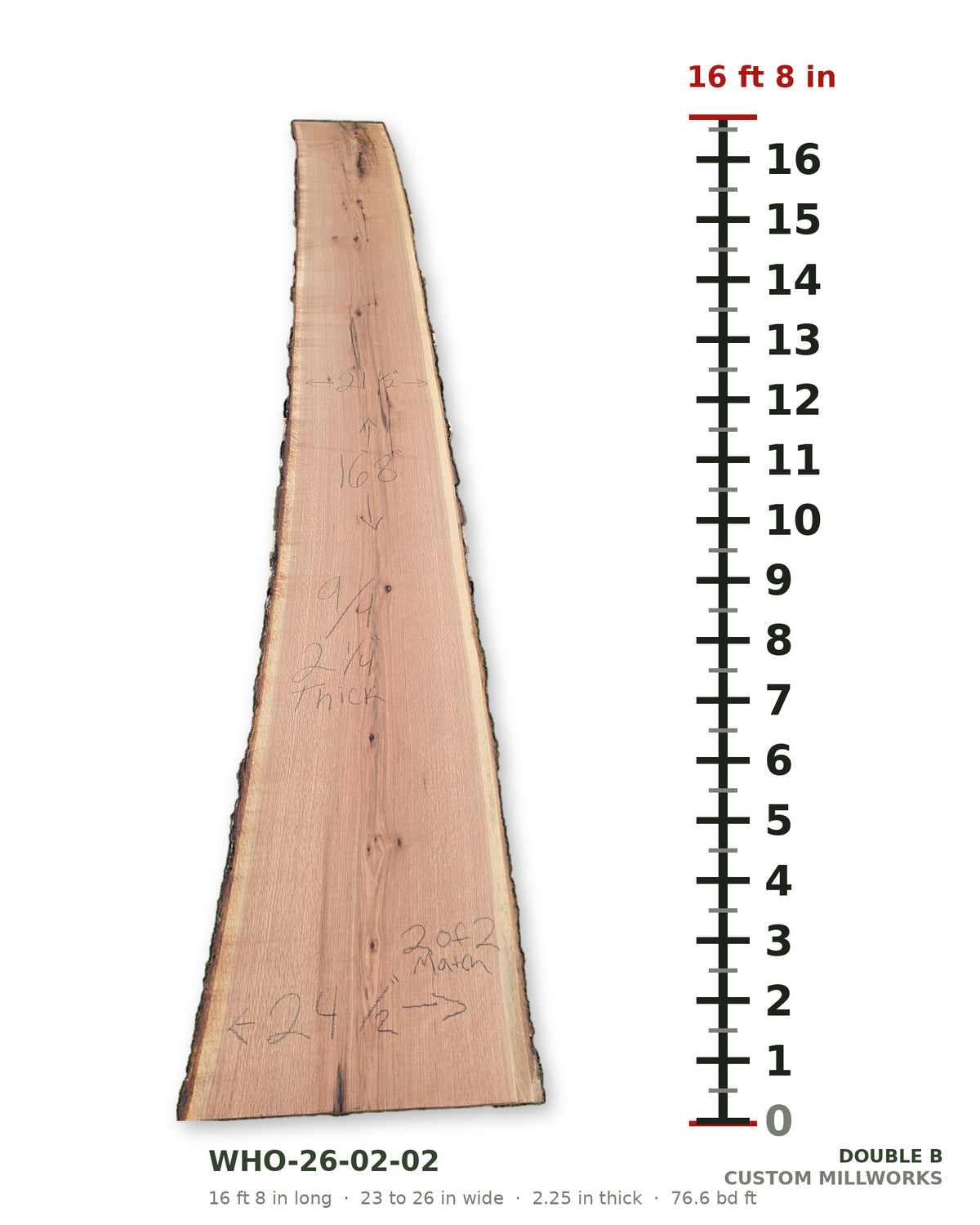 White oak book-matched live edge slab WHO-26-02-02, slab 2 of 2, 16 ft 8 in long, 23 to 26 in wide, 2 1/4 in thick, 76.6 board feet
