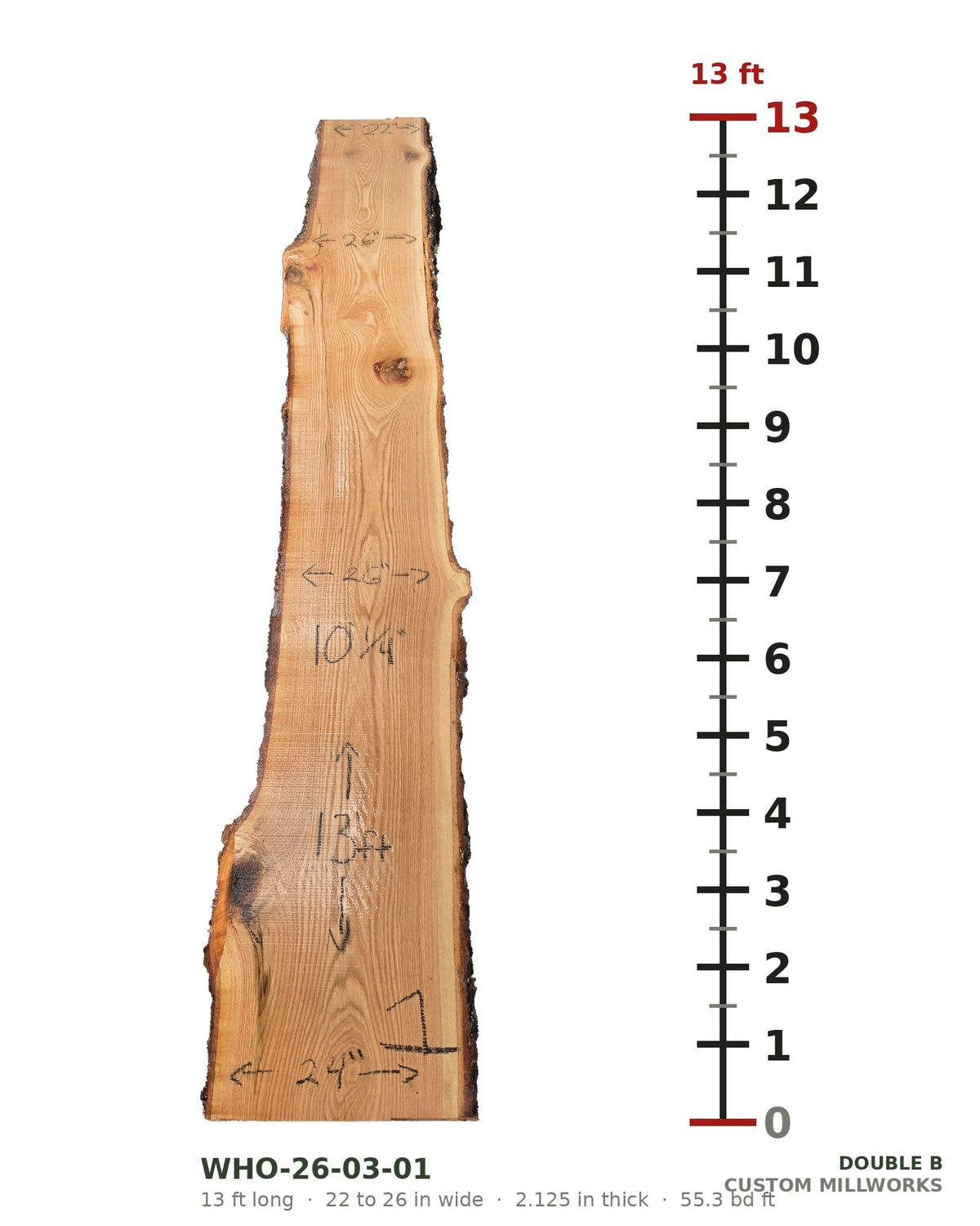 White oak live edge slab WHO-26-03-01, 13 ft long, 22 to 26 in wide, 2 1/8 in thick, 55.3 board feet