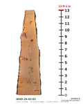 White oak live edge slab WHO-26-03-02, 13 ft 1 in long, 21 to 24 in wide, 2 1/8 in thick, 52.1 board feet