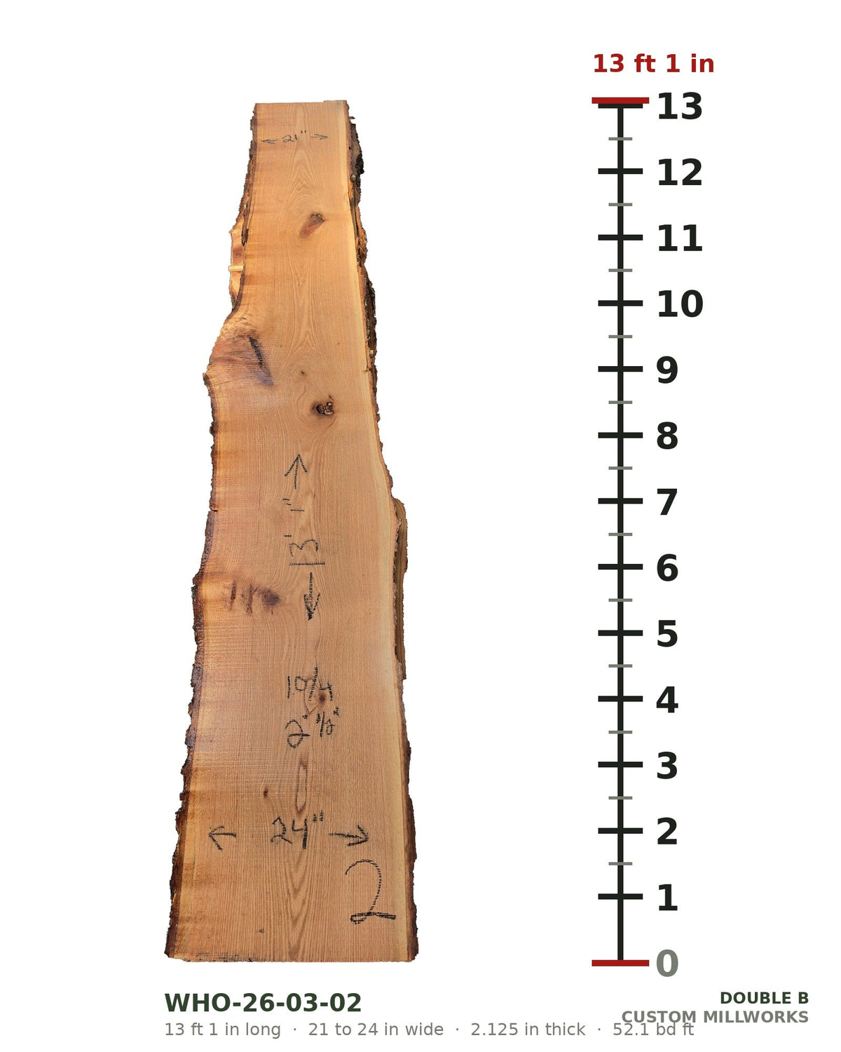 White oak live edge slab WHO-26-03-02, 13 ft 1 in long, 21 to 24 in wide, 2 1/8 in thick, 52.1 board feet