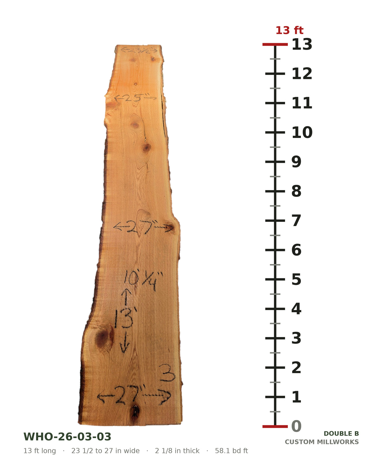White oak live edge slab WHO-26-03-03 next to a length ruler, 13 ft long, 23 1/2 to 27 in wide, 2 1/8 in thick, 58.1 board feet