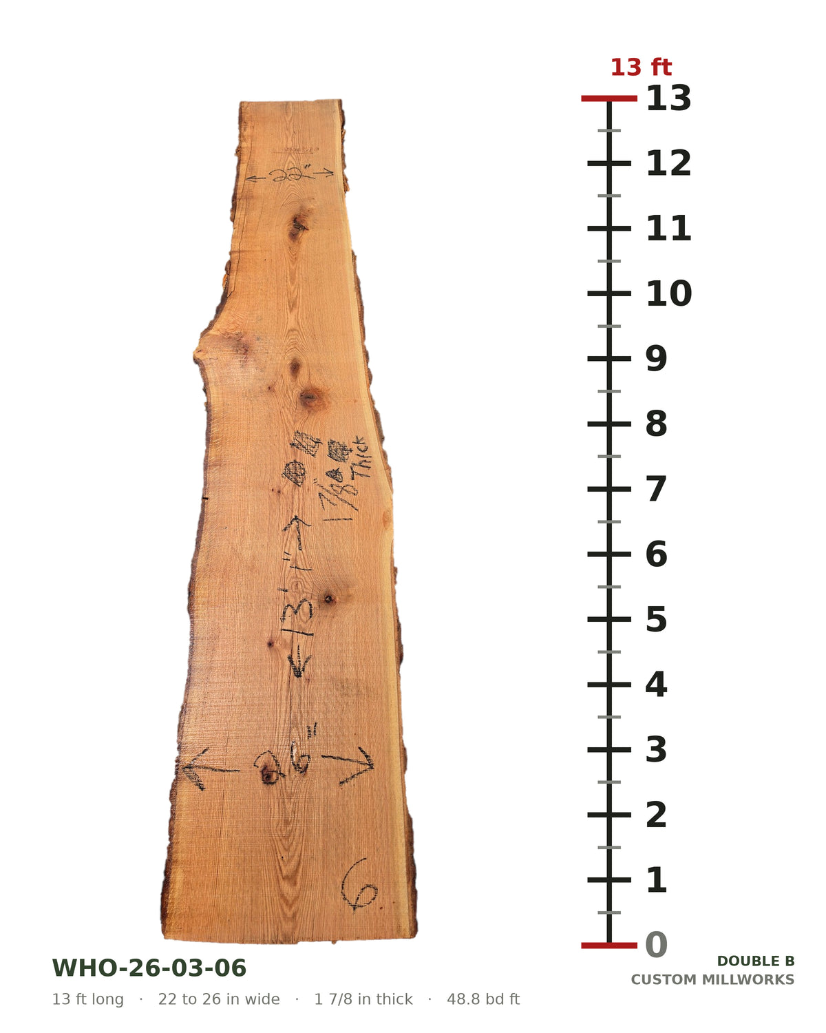 White oak live edge slab WHO-26-03-06 next to a length ruler, 13 ft long, 22 to 26 in wide, 1 7/8 in thick, 48.8 board feet
